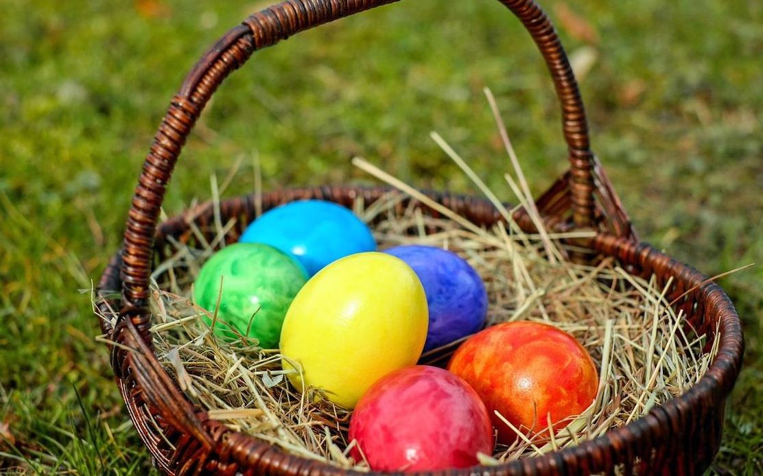 A warm egg, fresh from our farm