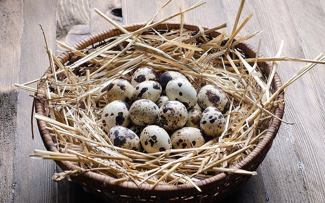 A dozen eggs still in their farmstead carton